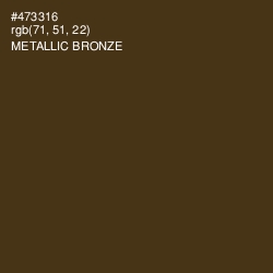 #473316 - Metallic Bronze Color Image